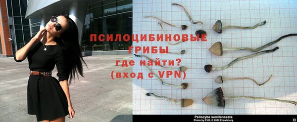тгк Костерёво