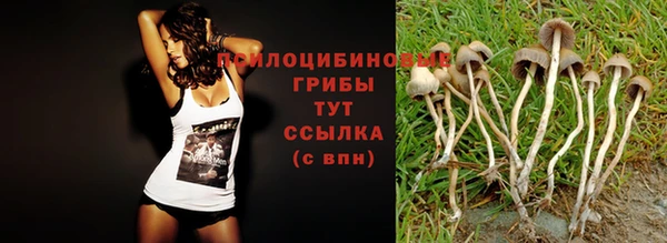 mix Алексин