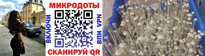 наркотики  Кувшиново  Галлюциногенные грибы Magic Shrooms 