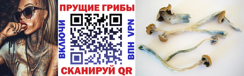 Галлюциногенные грибы Magic Shrooms Кувшиново