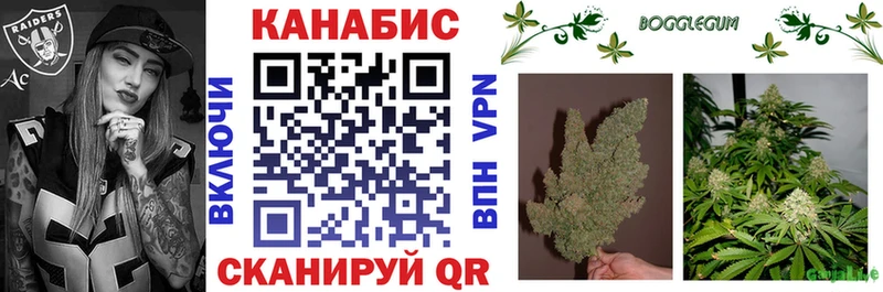 Канабис OG Kush купить Кувшиново